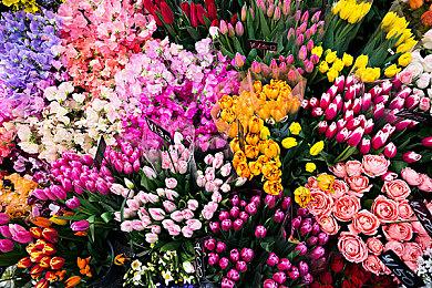 SE在多个地区注册新商标 或是《北欧女神》系列新作